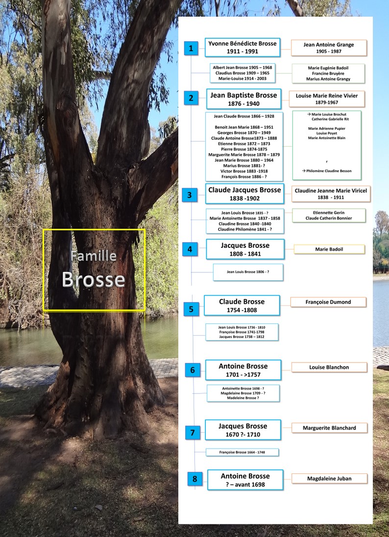 familleBROSSE   Copie