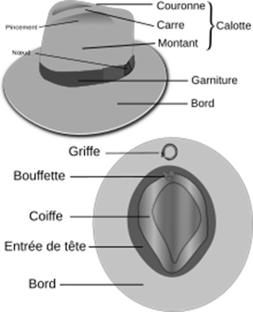 ANATOMIE DU CHAPEAU